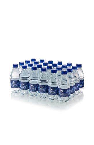 Radnor Hills Still Spring Water 24x330ml Plain cap Product pack shot image