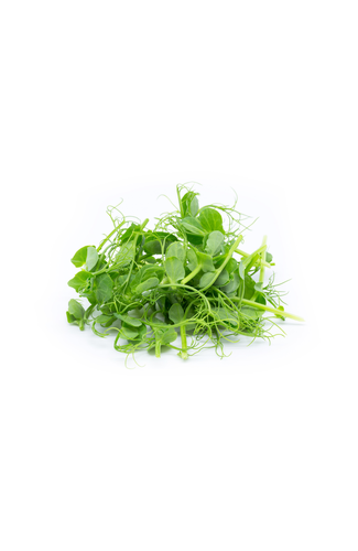 Affilla Cress