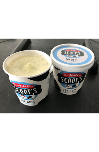 Scoop's Dog Ice Cream