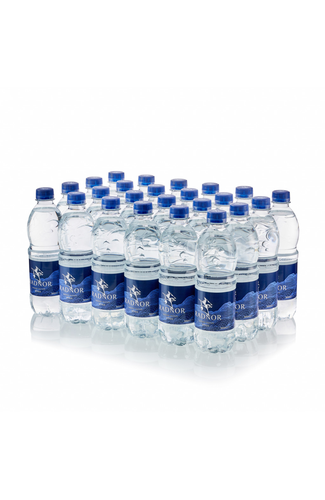 Radnor Hills Still Natural Spring Water 24 x 500ml Plain Cap Product pack shot image