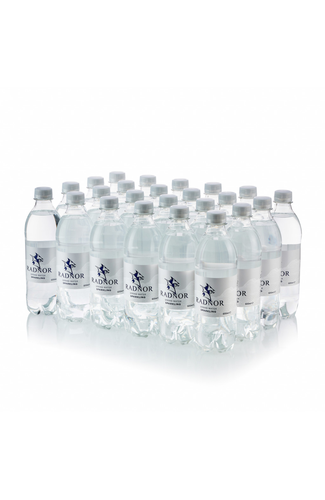 Radnor Hills Sparkling Spring Water 24x500ml Plain cap Product pack shot image