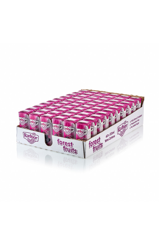Radnor Fruits forest fruits no added sugar kids drink 60 x 125ml Tetra Pak® Product pack shot image