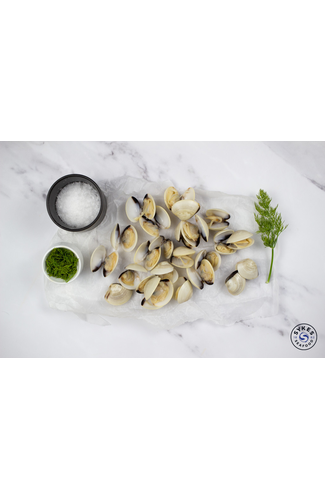 Whole Shell Clam