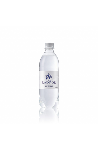 Radnor Hills Sparkling Spring Water 24x500ml Plain cap Product front shot image